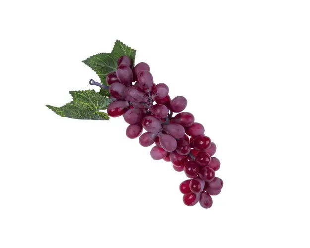 عکاسی تبلیغاتی